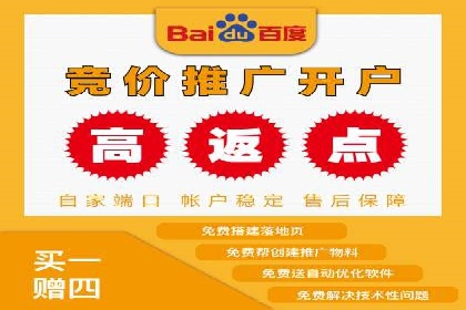 揭秘百度竞价广告：实战案例分析及优化策略